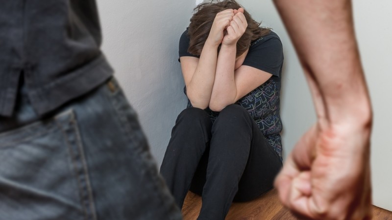 Заблуждения и факты о домашнем насилии11